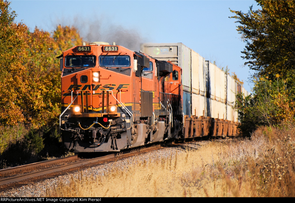 BNSF 6631